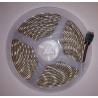 Indicador Luminoso LED